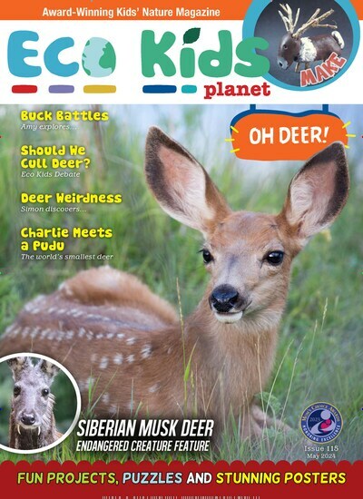 Titelbild der Ausgabe 115/2024 von Eco Kids Planet Magazine. Diese Zeitschrift und viele weitere Jugendzeitschriften und Kinderzeitschriften als Abo oder epaper bei United Kiosk online kaufen.