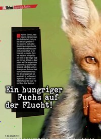 Titelbild der Ausgabe 22/2022 von Ein hungriger Fuchs auf der Flucht!. Zeitschriften als Abo oder epaper bei United Kiosk online kaufen.