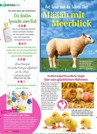 Titelbild der Ausgabe 1/2020 von AKTUELL:Auf Texel sind die Schafe Chef Määäh mit Meerblick. Zeitschriften als Abo oder epaper bei United Kiosk online kaufen.