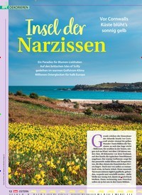 Titelbild der Ausgabe 1/2020 von Vor Cornwalls Küste blüht’s sonnig gelb: Insel der Narzissen. Zeitschriften als Abo oder epaper bei United Kiosk online kaufen.