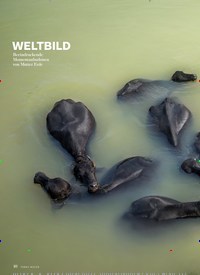 Titelbild der Ausgabe 6/2020 von WELTBILD. Zeitschriften als Abo oder epaper bei United Kiosk online kaufen.