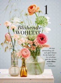 Titelbild der Ausgabe 2/2025 von Blühende WOHLTAT. Zeitschriften als Abo oder epaper bei United Kiosk online kaufen.