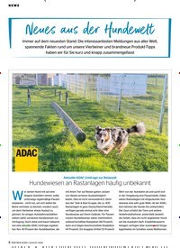 Titelbild der Ausgabe 8/2024 von Neues aus der Hundewelt. Zeitschriften als Abo oder epaper bei United Kiosk online kaufen.