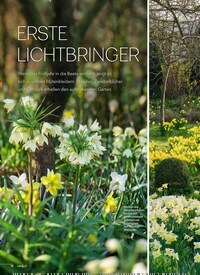 Titelbild der Ausgabe 2/2025 von ERSTE LICHTBRINGER. Zeitschriften als Abo oder epaper bei United Kiosk online kaufen.