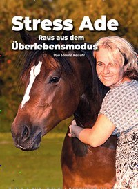 Titelbild der Ausgabe 3/2022 von Stress Ade Raus aus dem Überlebensmodus. Zeitschriften als Abo oder epaper bei United Kiosk online kaufen.