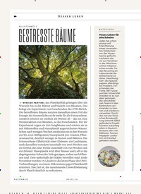 Titelbild der Ausgabe 11/2024 von GESTRESSTE BAUME. Zeitschriften als Abo oder epaper bei United Kiosk online kaufen.