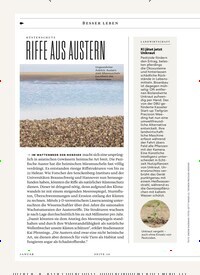 Titelbild der Ausgabe 1/2025 von RIFFE AUS AUSTERN. Zeitschriften als Abo oder epaper bei United Kiosk online kaufen.