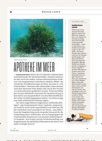 Titelbild der Ausgabe 2/2025 von APOTHEKE IM MEER. Zeitschriften als Abo oder epaper bei United Kiosk online kaufen.