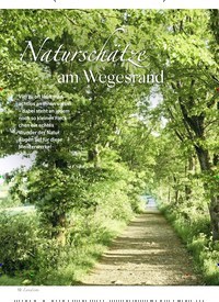 Titelbild der Ausgabe 4/2024 von Naturschätze am Wegesrand. Zeitschriften als Abo oder epaper bei United Kiosk online kaufen.