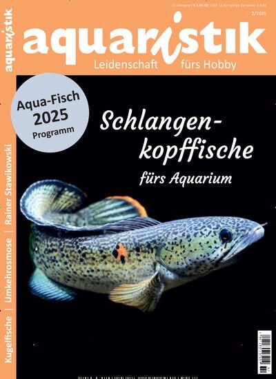 Titelbild der Ausgabe 2/2025 von aquaristik. Diese Zeitschrift und viele weitere Elternzeitschriften und Tierzeitschriften als Abo oder epaper bei United Kiosk online kaufen.