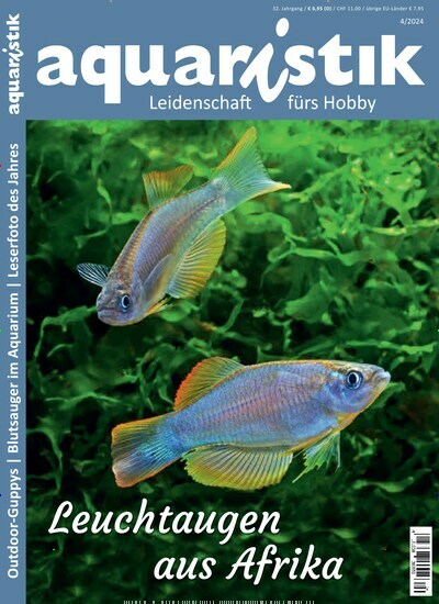Titelbild der Ausgabe 4/2024 von aquaristik. Diese Zeitschrift und viele weitere Elternzeitschriften und Tierzeitschriften als Abo oder epaper bei United Kiosk online kaufen.