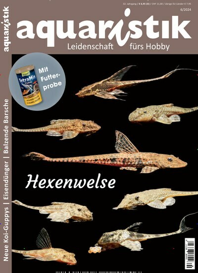 Titelbild der Ausgabe 6/2024 von aquaristik. Diese Zeitschrift und viele weitere Elternzeitschriften und Tierzeitschriften als Abo oder epaper bei United Kiosk online kaufen.