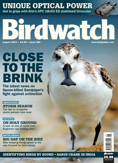 Titelbild der Ausgabe 386/2024 von Birdwatch. Diese Zeitschrift und viele weitere Reisemagazine, Freizeitmagazine und Wissensmagazine als Abo oder epaper bei United Kiosk online kaufen.