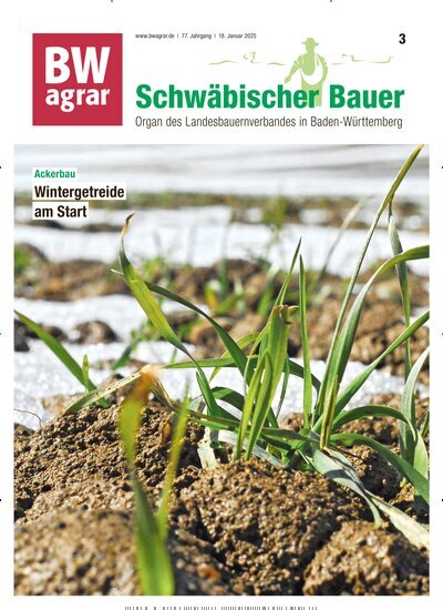 Titelbild der Ausgabe 3/2025 von BWagrar Schwäbischer Bauer. Diese Zeitschrift und viele weitere Naturzeitschriften, Landwirtschaftszeitungen und Umweltmagazine als Abo oder epaper bei United Kiosk online kaufen.