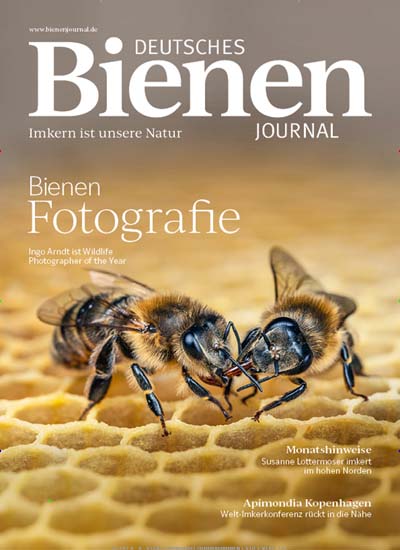 Titelbild der Ausgabe 1/2025 von Deutsches Bienenjournal. Diese Zeitschrift und viele weitere Naturzeitschriften, Landwirtschaftszeitungen und Umweltmagazine als Abo oder epaper bei United Kiosk online kaufen.