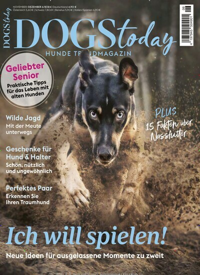 Titelbild der Ausgabe 6/2024 von DOGS Today. Diese Zeitschrift und viele weitere Elternzeitschriften und Tierzeitschriften als Abo oder epaper bei United Kiosk online kaufen.