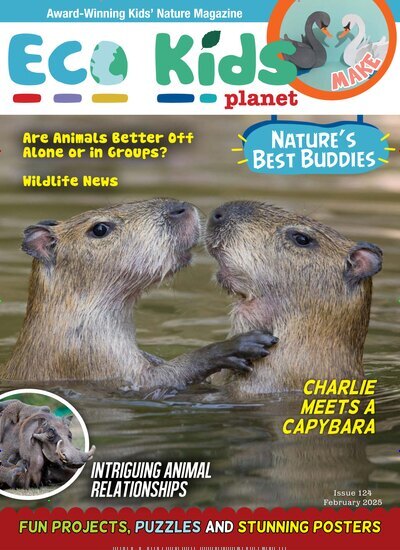 Titelbild der Ausgabe 2/2025 von Eco Kids Planet Magazine. Diese Zeitschrift und viele weitere Jugendzeitschriften und Kinderzeitschriften als Abo oder epaper bei United Kiosk online kaufen.