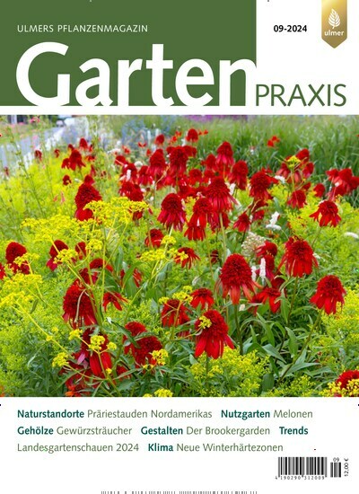 Titelbild der Ausgabe 9/2024 von Gartenpraxis. Diese Zeitschrift und viele weitere Naturzeitschriften, Landwirtschaftszeitungen und Umweltmagazine als Abo oder epaper bei United Kiosk online kaufen.