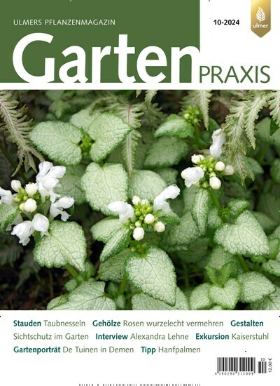 Titelbild der Ausgabe 10/2024 von Gartenpraxis. Diese Zeitschrift und viele weitere Naturzeitschriften, Landwirtschaftszeitungen und Umweltmagazine als Abo oder epaper bei United Kiosk online kaufen.