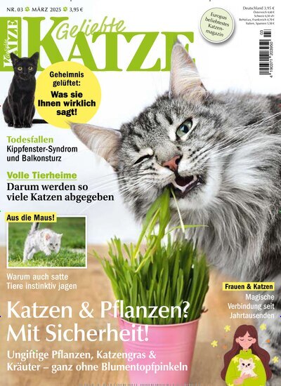 Titelbild der Ausgabe 3/2025 von Geliebte Katze. Diese Zeitschrift und viele weitere Elternzeitschriften und Tierzeitschriften als Abo oder epaper bei United Kiosk online kaufen.