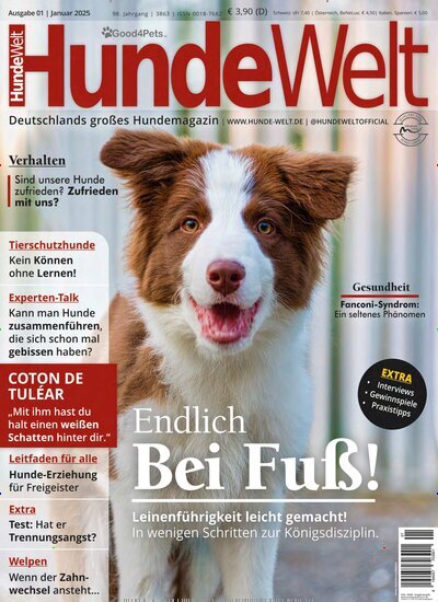 Titelbild der Ausgabe 1/2025 von Hundewelt. Diese Zeitschrift und viele weitere Elternzeitschriften und Tierzeitschriften als Abo oder epaper bei United Kiosk online kaufen.