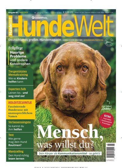 Titelbild der Ausgabe 3/2025 von Hundewelt. Diese Zeitschrift und viele weitere Elternzeitschriften und Tierzeitschriften als Abo oder epaper bei United Kiosk online kaufen.