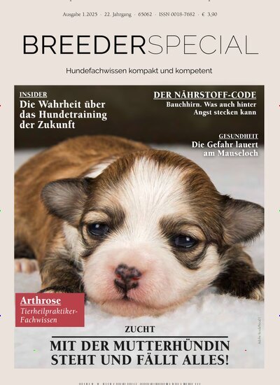 Titelbild der Ausgabe 1/2025 von HundeWelt BREEDERSPECIAL. Diese Zeitschrift und viele weitere Elternzeitschriften und Tierzeitschriften als Abo oder epaper bei United Kiosk online kaufen.