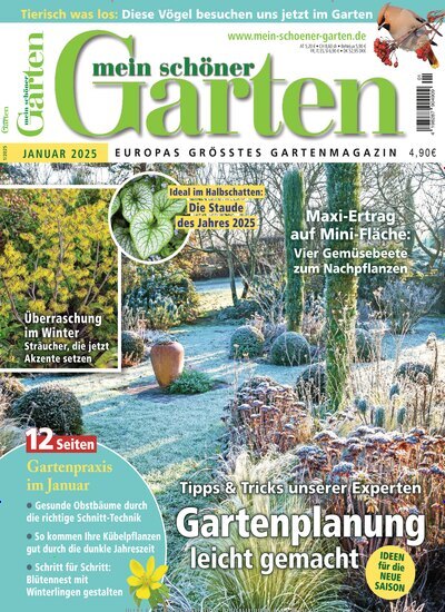 Titelbild der Ausgabe 1/2025 von Mein schöner Garten. Diese Zeitschrift und viele weitere Gartenzeitschriften und Wohnzeitschriften als Abo oder epaper bei United Kiosk online kaufen.