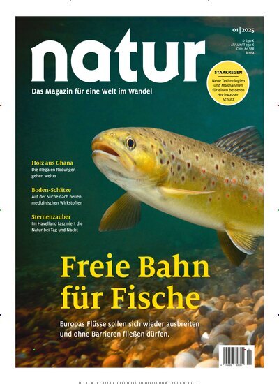 Titelbild der Ausgabe 1/2025 von natur. Diese Zeitschrift und viele weitere Reisemagazine, Freizeitmagazine und Wissensmagazine als Abo oder epaper bei United Kiosk online kaufen.