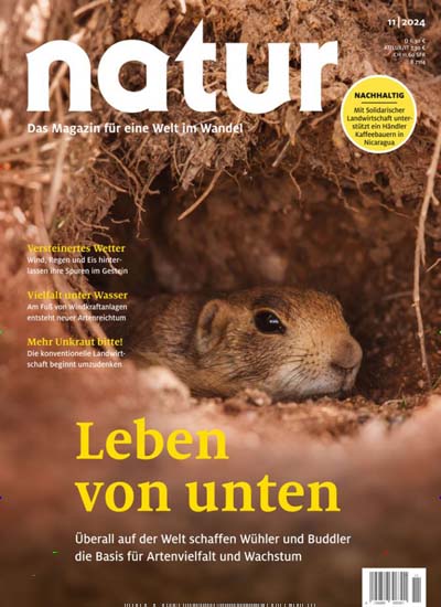 Titelbild der Ausgabe 11/2024 von natur. Diese Zeitschrift und viele weitere Reisemagazine, Freizeitmagazine und Wissensmagazine als Abo oder epaper bei United Kiosk online kaufen.