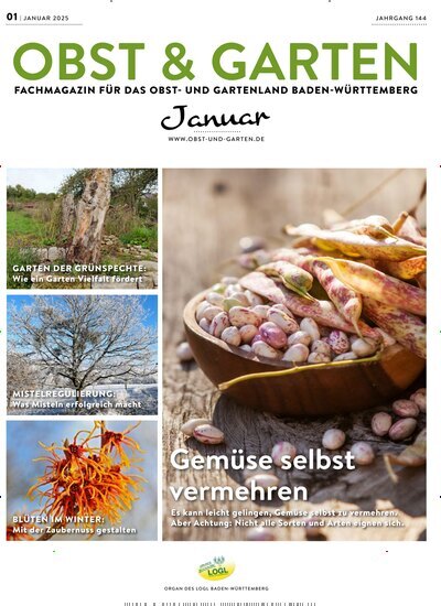 Titelbild der Ausgabe 1/2025 von Obst & Garten. Diese Zeitschrift und viele weitere Naturzeitschriften, Landwirtschaftszeitungen und Umweltmagazine als Abo oder epaper bei United Kiosk online kaufen.