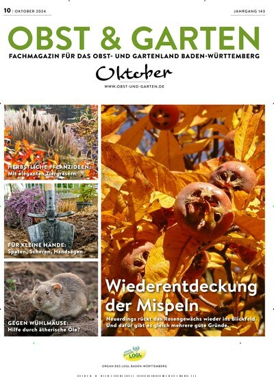 Titelbild der Ausgabe 10/2024 von Obst & Garten. Diese Zeitschrift und viele weitere Naturzeitschriften, Landwirtschaftszeitungen und Umweltmagazine als Abo oder epaper bei United Kiosk online kaufen.