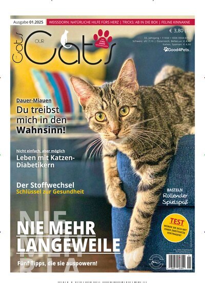 Titelbild der Ausgabe 1/2025 von Our Cats. Diese Zeitschrift und viele weitere Elternzeitschriften und Tierzeitschriften als Abo oder epaper bei United Kiosk online kaufen.