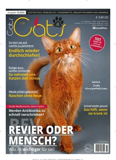 Titelbild der Ausgabe 10/2024 von Our Cats. Diese Zeitschrift und viele weitere Elternzeitschriften und Tierzeitschriften als Abo oder epaper bei United Kiosk online kaufen.