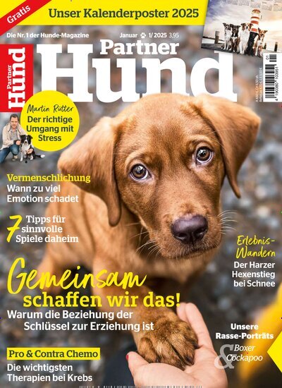 Titelbild der Ausgabe 1/2025 von Partner Hund. Diese Zeitschrift und viele weitere Elternzeitschriften und Tierzeitschriften als Abo oder epaper bei United Kiosk online kaufen.