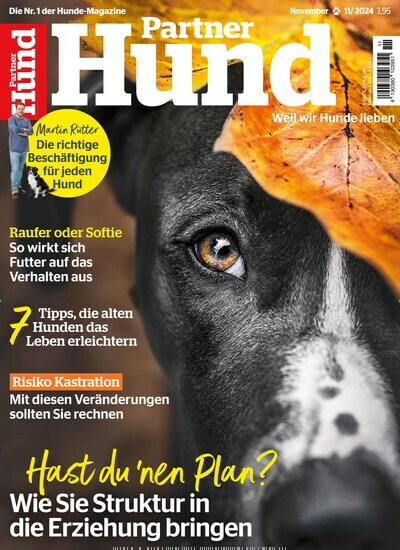 Titelbild der Ausgabe 11/2024 von Partner Hund. Diese Zeitschrift und viele weitere Elternzeitschriften und Tierzeitschriften als Abo oder epaper bei United Kiosk online kaufen.