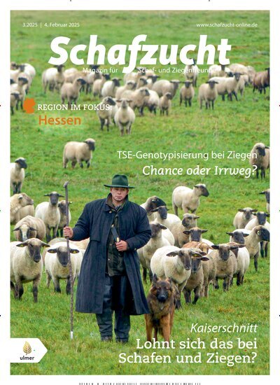 Titelbild der Ausgabe 3/2025 von Schafzucht. Diese Zeitschrift und viele weitere Naturzeitschriften, Landwirtschaftszeitungen und Umweltmagazine als Abo oder epaper bei United Kiosk online kaufen.