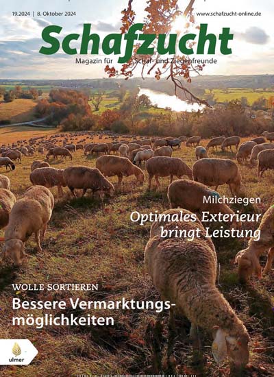 Titelbild der Ausgabe 19/2024 von Schafzucht. Diese Zeitschrift und viele weitere Naturzeitschriften, Landwirtschaftszeitungen und Umweltmagazine als Abo oder epaper bei United Kiosk online kaufen.