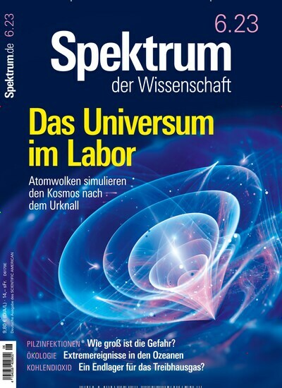 Spektrum Der Wissenschaft Als Abo Und Epaper