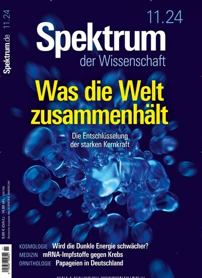 Titelbild der Ausgabe 11/2024 von Spektrum der Wissenschaft. Diese Zeitschrift und viele weitere Reisemagazine, Freizeitmagazine und Wissensmagazine als Abo oder epaper bei United Kiosk online kaufen.