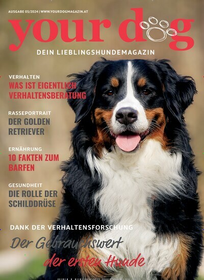 Titelbild der Ausgabe 3/2024 von your dog. Diese Zeitschrift und viele weitere Elternzeitschriften und Tierzeitschriften als Abo oder epaper bei United Kiosk online kaufen.