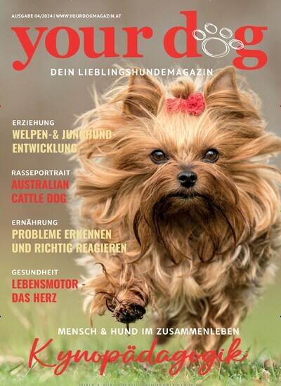 Titelbild der Ausgabe 4/2024 von your dog. Diese Zeitschrift und viele weitere Elternzeitschriften und Tierzeitschriften als Abo oder epaper bei United Kiosk online kaufen.