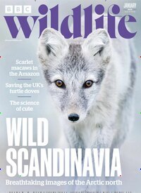 Titelbild der Ausgabe 1/2025 von BBC Wildlife. Diese Zeitschrift und viele weitere Reisemagazine, Freizeitmagazine und Wissensmagazine als Abo oder epaper bei United Kiosk online kaufen.