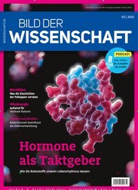 Titelbild der Ausgabe 3/2025 von bild der wissenschaft. Diese Zeitschrift und viele weitere Reisemagazine, Freizeitmagazine und Wissensmagazine als Abo oder epaper bei United Kiosk online kaufen.