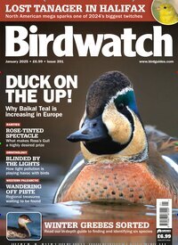 Titelbild der Ausgabe 1/2025 von Birdwatch. Diese Zeitschrift und viele weitere Reisemagazine, Freizeitmagazine und Wissensmagazine als Abo oder epaper bei United Kiosk online kaufen.