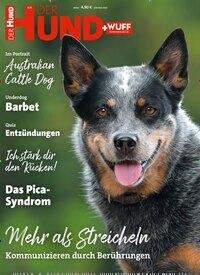 Titelbild der Ausgabe 3/2025 von Der Hund. Diese Zeitschrift und viele weitere Elternzeitschriften und Tierzeitschriften als Abo oder epaper bei United Kiosk online kaufen.