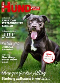 Titelbild der Ausgabe 10/2024 von Der Hund. Diese Zeitschrift und viele weitere Elternzeitschriften und Tierzeitschriften als Abo oder epaper bei United Kiosk online kaufen.