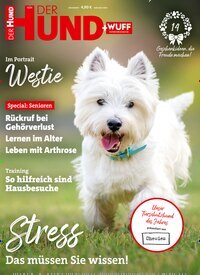 Titelbild der Ausgabe 11/2024 von Der Hund. Diese Zeitschrift und viele weitere Elternzeitschriften und Tierzeitschriften als Abo oder epaper bei United Kiosk online kaufen.