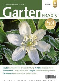 Titelbild der Ausgabe 1/2025 von Gartenpraxis. Diese Zeitschrift und viele weitere Naturzeitschriften, Landwirtschaftszeitungen und Umweltmagazine als Abo oder epaper bei United Kiosk online kaufen.