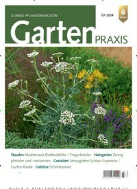 Titelbild der Ausgabe 7/2024 von Gartenpraxis. Diese Zeitschrift und viele weitere Naturzeitschriften, Landwirtschaftszeitungen und Umweltmagazine als Abo oder epaper bei United Kiosk online kaufen.